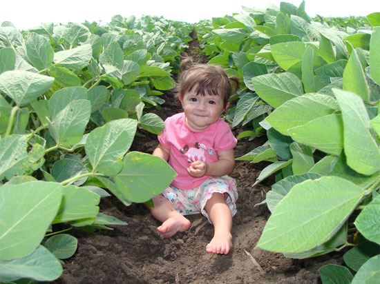 Should sustainability be a requirement of non-GMO farming?